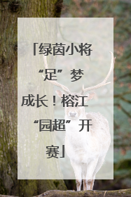 绿茵小将 “足”梦成长！榕江“园超”开赛