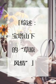 综述：宝塔山下的“草原风情”