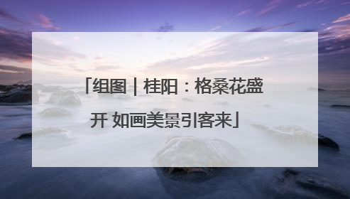 组图｜桂阳：格桑花盛开 如画美景引客来