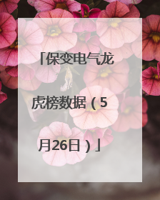 保变电气龙虎榜数据（5月26日）