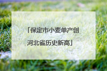 保定市小麦单产创河北省历史新高