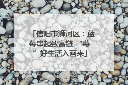 信阳市浉河区：蓝莓串起致富链 “莓”好生活入画来