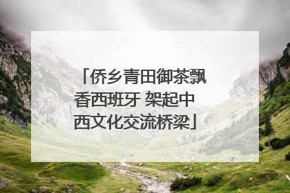 侨乡青田御茶飘香西班牙 架起中西文化交流桥梁
