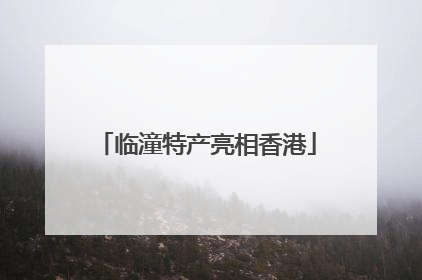 临潼特产亮相香港