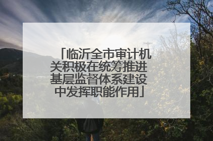 临沂全市审计机关积极在统筹推进基层监督体系建设中发挥职能作用