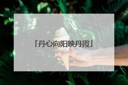 丹心向阳映丹霞