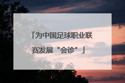 为中国足球职业联赛发展“会诊”
