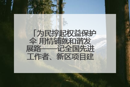 为民撑起权益保护伞 用情铺就和谐发展路——记全国先进工作者、新区项目建设中心干部卢小勇
