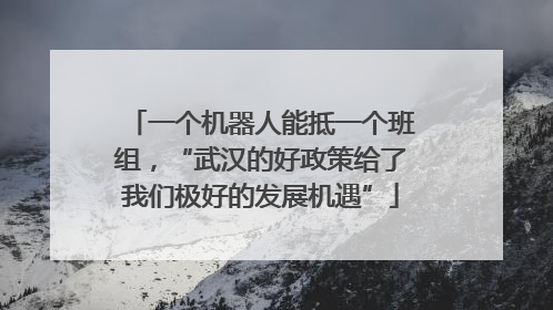 一个机器人能抵一个班组，“武汉的好政策给了我们极好的发展机遇”