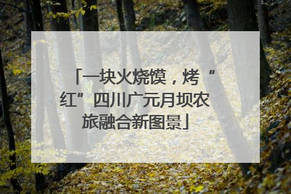 一块火烧馍，烤“红”四川广元月坝农旅融合新图景
