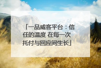 一品威客平台：信任的温度 在每一次托付与回应间生长