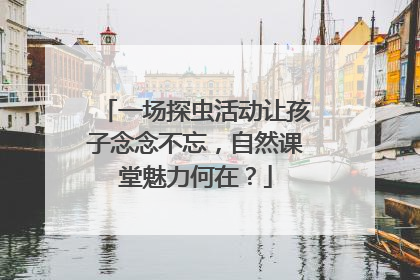 一场探虫活动让孩子念念不忘，自然课堂魅力何在？