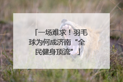 一场难求！羽毛球为何成济南“全民健身顶流”