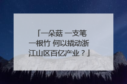 一朵菇 一支笔 一根竹 何以撬动浙江山区百亿产业？