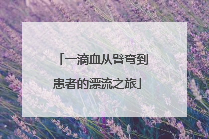 一滴血从臂弯到患者的漂流之旅