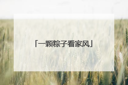 一颗粽子看家风