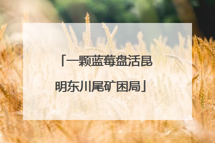 一颗蓝莓盘活昆明东川尾矿困局