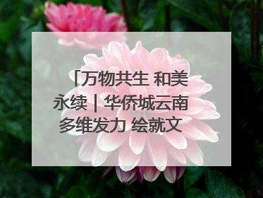 万物共生 和美永续｜华侨城云南多维发力 绘就文旅融合与生物多样性保护新图景