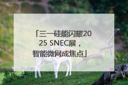 三一硅能闪耀2025 SNEC展，智能微网成焦点