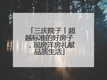 三庆院子丨超越标准的好房子，现房洋房礼献品质生活