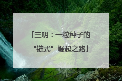 三明：一粒种子的“链式”崛起之路