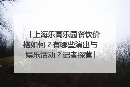 上海乐高乐园餐饮价格如何？有哪些演出与娱乐活动？记者探营