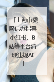 上海市委网信办指导小红书、B站等平台清理违规AI