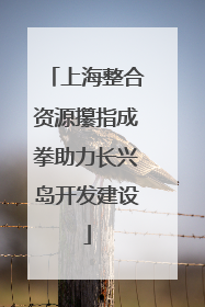 上海整合资源攥指成拳助力长兴岛开发建设