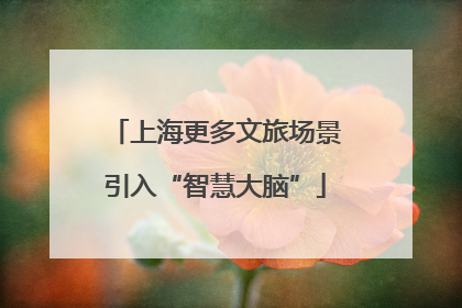 上海更多文旅场景引入“智慧大脑”
