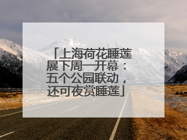 上海荷花睡莲展下周一开幕：五个公园联动，还可夜赏睡莲