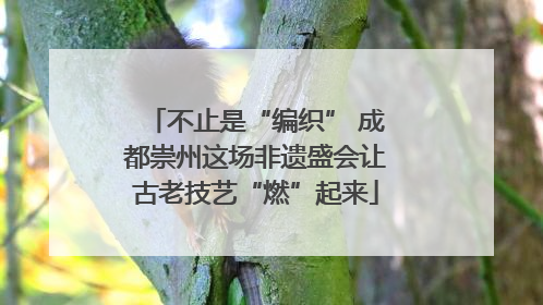 不止是“编织” 成都崇州这场非遗盛会让古老技艺“燃”起来
