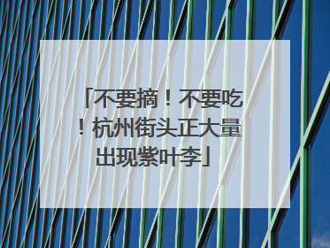 不要摘！不要吃！杭州街头正大量出现紫叶李