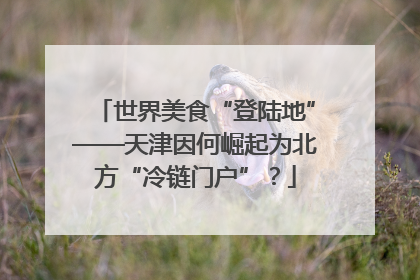 世界美食“登陆地”——天津因何崛起为北方“冷链门户”？