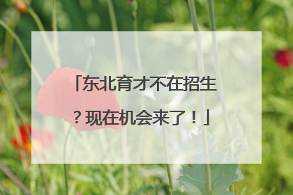 东北育才不在招生？现在机会来了！