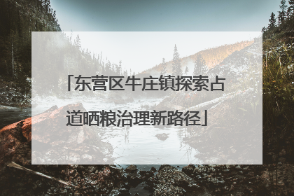 东营区牛庄镇探索占道晒粮治理新路径