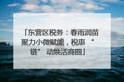 东营区税务：春雨润苗聚力小微赋能，税惠 “链” 动焕活商圈