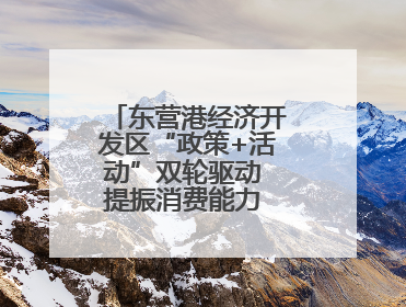 东营港经济开发区“政策+活动”双轮驱动 提振消费能力 释放消费潜力