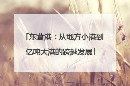 东营港：从地方小港到亿吨大港的跨越发展