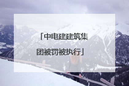 中电建建筑集团被罚被执行