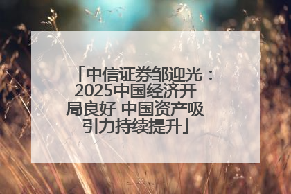 中信证券邹迎光：2025中国经济开局良好 中国资产吸引力持续提升