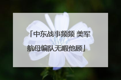 中东战事频频 美军航母编队无暇他顾