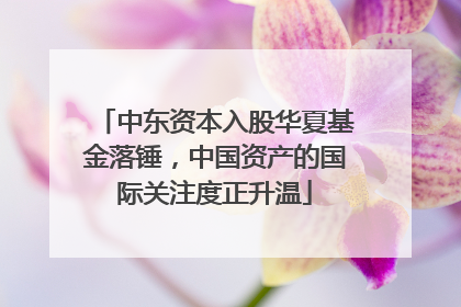 中东资本入股华夏基金落锤，中国资产的国际关注度正升温