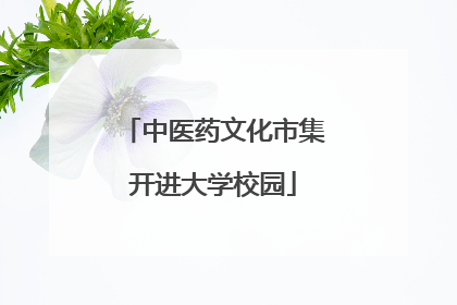 中医药文化市集开进大学校园