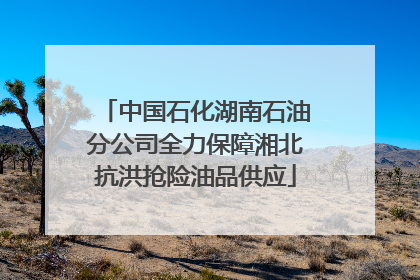 中国石化湖南石油分公司全力保障湘北抗洪抢险油品供应