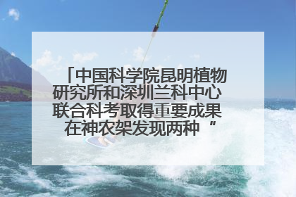 中国科学院昆明植物研究所和深圳兰科中心联合科考取得重要成果 在神农架发现两种“国保”级兰花