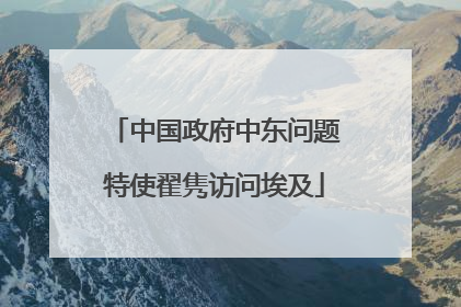 中国政府中东问题特使翟隽访问埃及