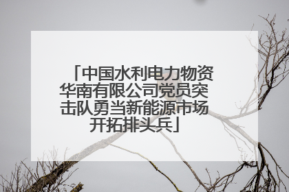 中国水利电力物资华南有限公司党员突击队勇当新能源市场开拓排头兵