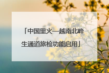 中国里火—越南北峰生通道旅检功能启用
