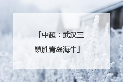 中超：武汉三镇胜青岛海牛