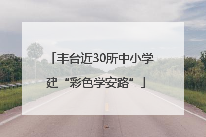 丰台近30所中小学建“彩色学安路”